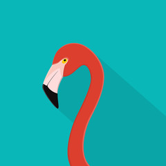 Flamingo bird flat design . Flamingo head on blue background with soft shadow. For web banner, poster summer, advertising, info graphic and layout design. Vector illustration.