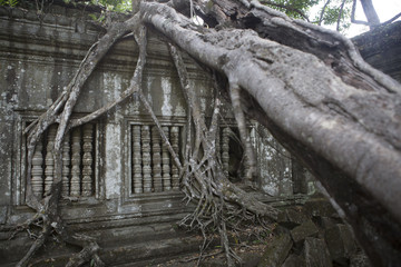 Obraz premium My cambodia