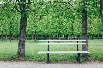 Bench in the park