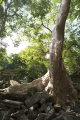 Fototapeta na wymiar My cambodia