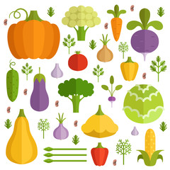 Different vegetables in cartoon style. Vector icons set