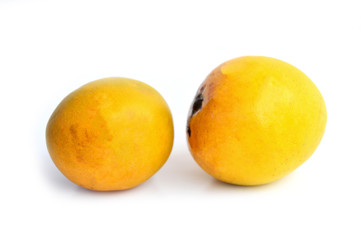 2 Colorful Mango on White Isolated Background Side View
