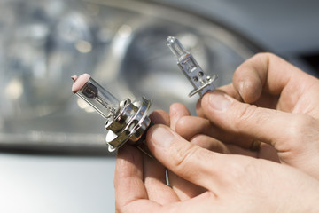 Dłonie mechanika trzymają żarówki samochodowe H1 i H7. Mechanik wybiera żarówkę do samochodu H1 czy H7. Rodzaje żarówek samochodowych H1, H7 - obrazy, fototapety, plakaty