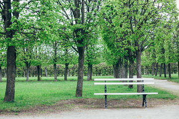 A wooden bench in the park. Free space for text.