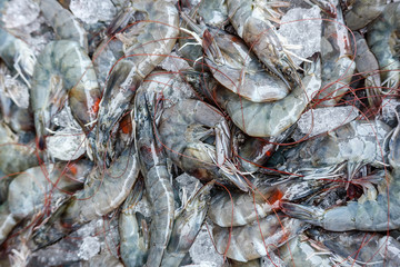 Shrimp in fish market