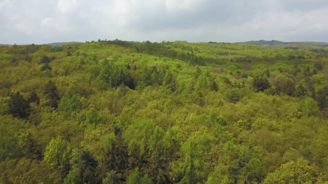 Stabilized aerial movement over deep woods. Drone flies over green forest on overcast day.