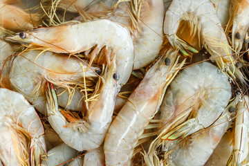 Shrimp in fish market