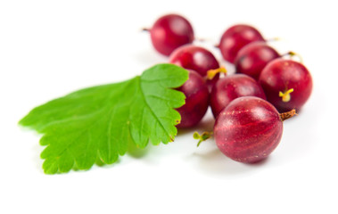 Red gooseberry isolated on a white background.