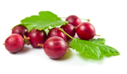 Red gooseberry isolated on a white background.