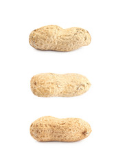 Single peanut in a shell isolated