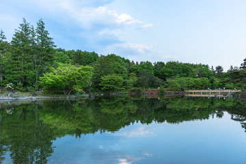 Fototapeta na wymiar Trees reflected in the garden pond - 庭園の池に映る木々２