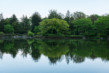 Fototapeta na wymiar Trees reflected in the garden pond - 庭園の池に映る木々１