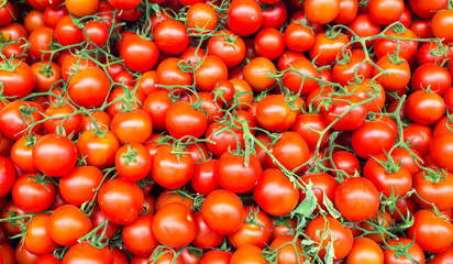 Tomatoes, background