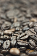 coffee beans close up