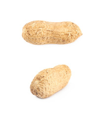 Single peanut in a shell isolated