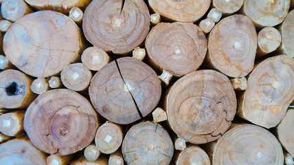 Wooden Wall with Circle Logs