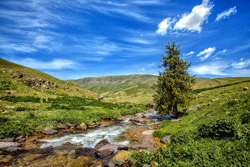 Assy. Kazakhstan Mountains.