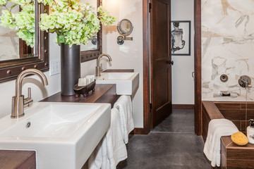 contemporary bathroom with two square sinks
