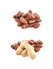 Pile of peanuts isolated