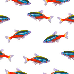 Seamless pattern with tropical neon tetra. Watercolor illustration with hand drawn aquarium exotic fish on white background.