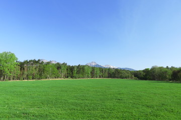 野辺山