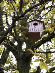 Bird house tree