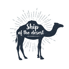 Hand drawn label with textured camel vector illustration and "Ship of the desert" lettering.