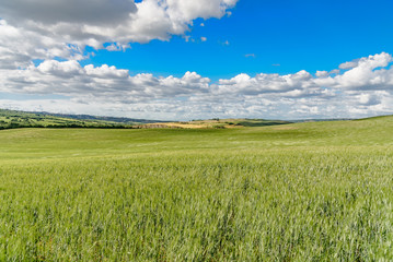 Perfect panorama of green hills with blue sky and fluffy clouds