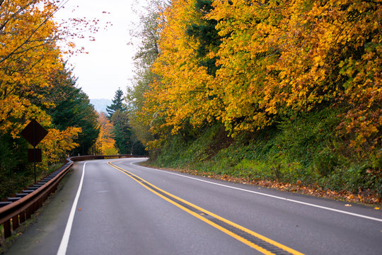 Spectacular winding road with yellow autumn trees