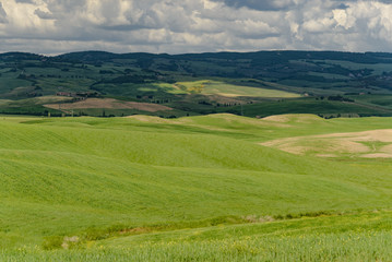 Fototapeta na wymiar Perfect panorama of green hills with blue sky and fluffy clouds
