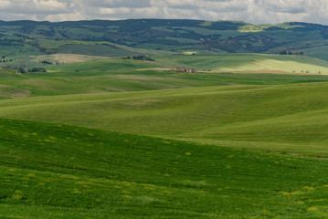 Fototapeta na wymiar Perfect panorama of green hills with blue sky and fluffy clouds