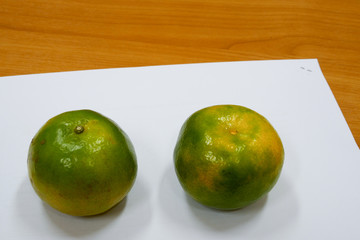 Two oranges on white papar and wood table
