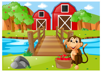 Obraz na płótnie Canvas Monkey and bucket of apples in orchard
