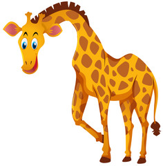 Giraffe with happy face