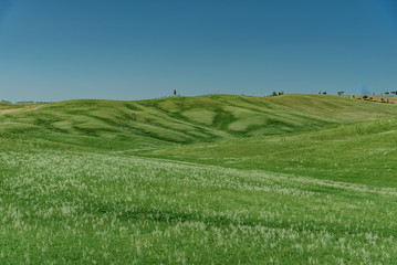 Green hills of tuscany in valley of siena siena