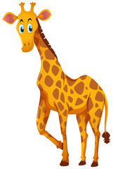 Fototapeta premium Cute giraffe standing on white background