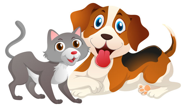 Cute cat and dog on white background