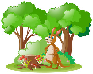 Obraz na płótnie Canvas Cute kangaroo in forest