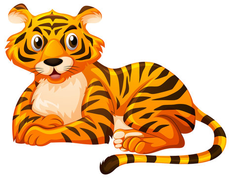 Cute tiger sitting on white background