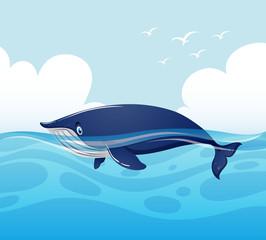 Obraz premium Blue whale swimming in ocean