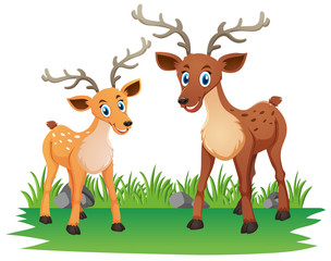 Mother deer and little fawn in the park