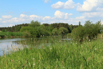 Wasserlandschaft