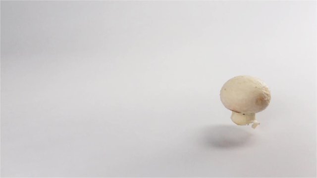 Few tasty Appetizing fresh mushrooms Champignons falls down and jumpng on white surface in super slow motion mode.
