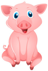 Obraz na płótnie Canvas Little pig with happy face