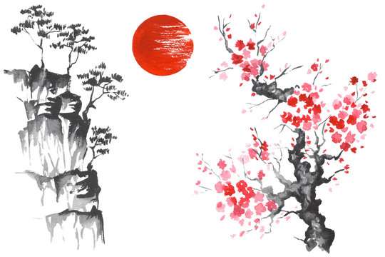 Japan Traditional japanese painting Sumi-e art Sun Sakura