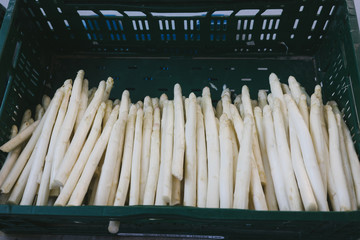 Spargel vom Bauernhof