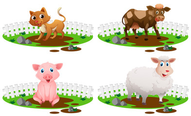 Four types of animals in the mud