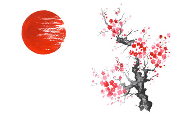 Japan Traditional japanese painting Sumi-e art Sakura Sun