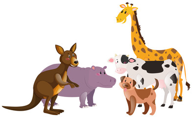 Many kinds of farm and wild animals