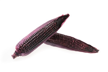 purple corn isolated on white background